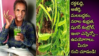 మలబద్దక నివారణ_Tamarind juice for healthy in rainy Season_SR gardens and health tips| #Shorts