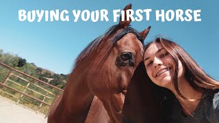 HOW TO BUY YOUR FIRST HORSE! | tips for firsttime horse owners