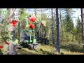 Tutustumme Jarcrac Multi -metsäkoneeseen | Metsälehti