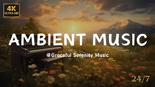 Amazon || Relaxing love Smooth Jazz Music || Graceful Serenity Music