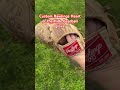 Custom Rawlings Heart of the Hide baseball glove