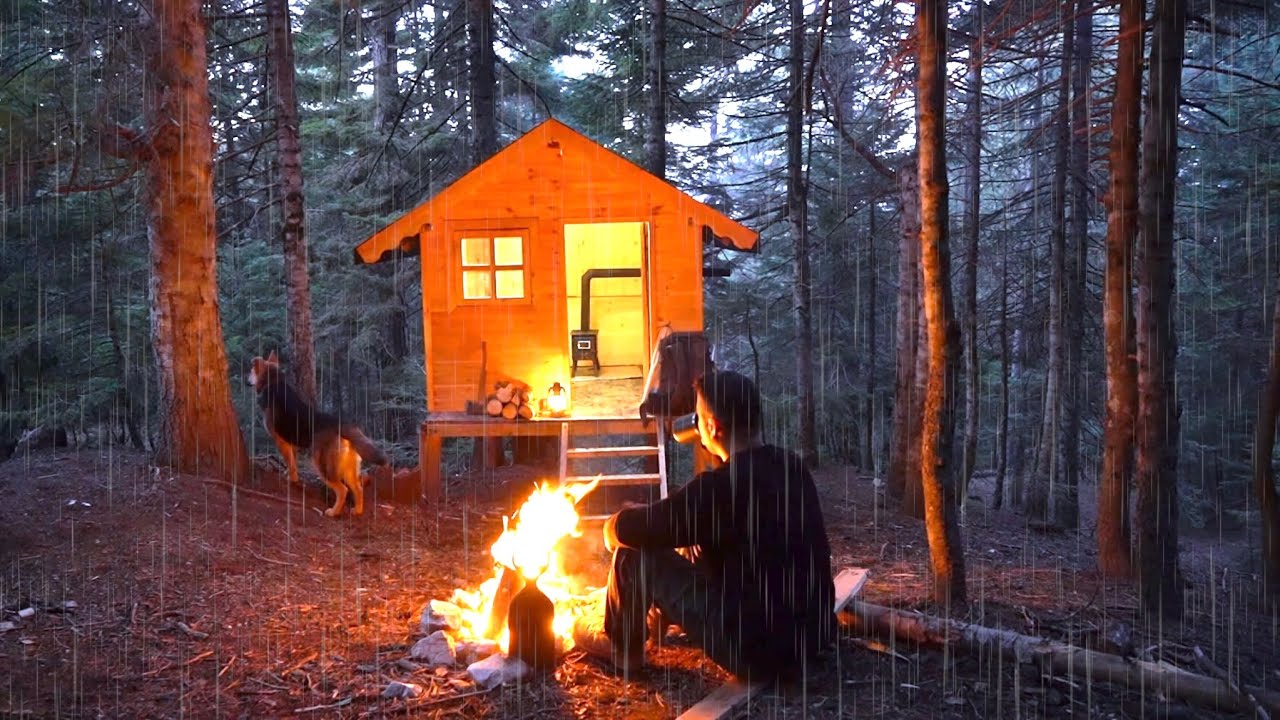 Зимний поход под дождем с собакой в ​​деревянном домике