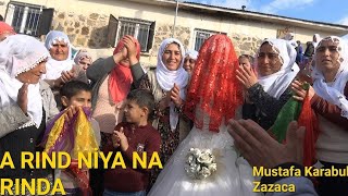 Mustafa Karabulut - A Rınd Niya Na Rında (Zazaca Efsane Türkü) 21 Zazaki Düğün - Dımli Kültürü Halay