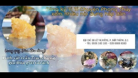 Rùa Đầu Rồng - LINH VẬT TRẤN TRẠCH HƯNG GIA, HÓA GIẢI TAI ÁCH HIỆU QUẢ-Ep23