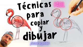 “Aprende Técnicas para Copiar y Dibujar: Consejos y Trucos para Mejorar tus Habilidades Artísticas”