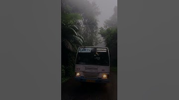 سورة التوبة – الآية ١١٥-١١٦ | القارئ إسلام صبحي  #اكسبلور