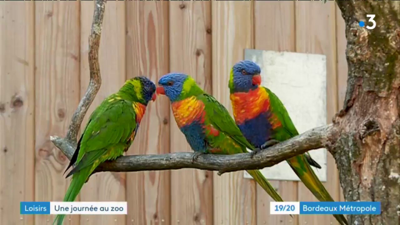 La locale Bordeaux Métropole au zoo de Bordeaux-Pessac