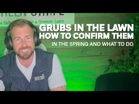 Video thumbnail: Grubs in the Lawn: How to Confirm Them in Spring, and What Timing Actually Works