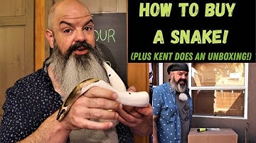 How To Buy A Snake: