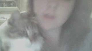 Capture 20111205 3