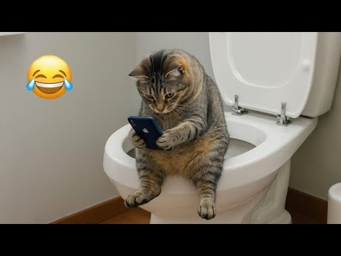 Funniest Cats Caught on Camera 😂 | Hilarious Cat Videos - YouTube