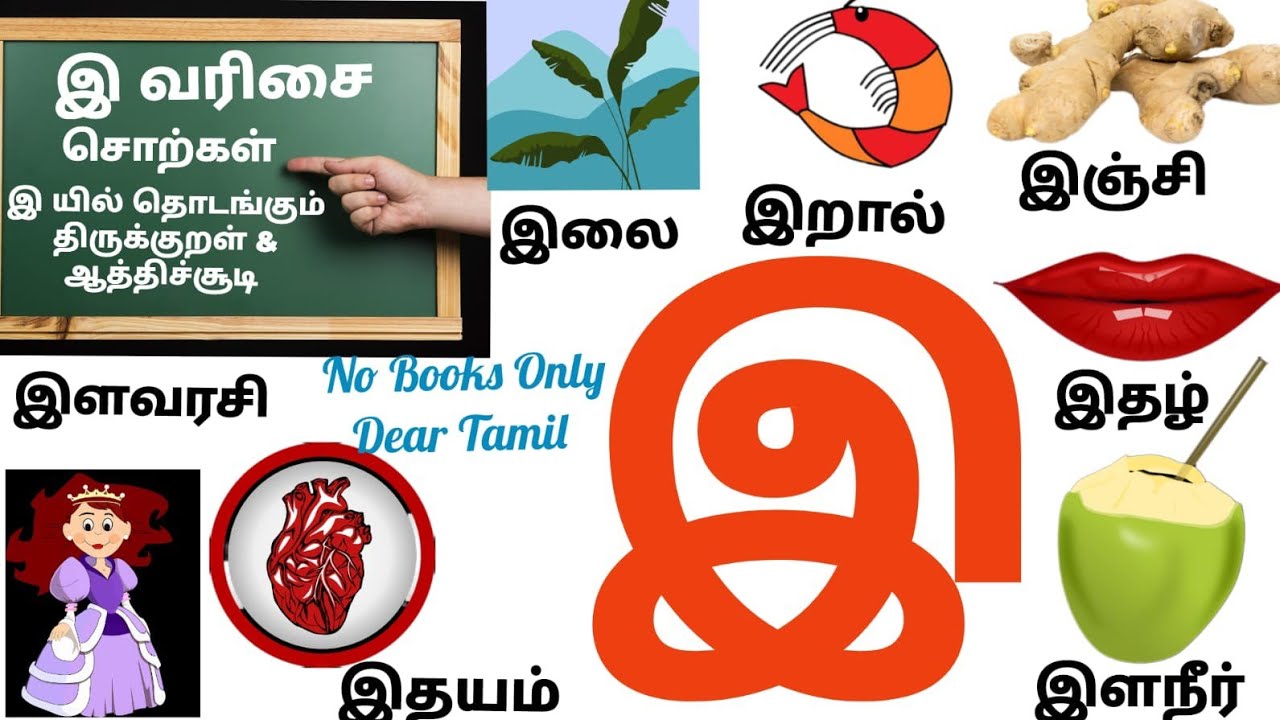 இ வரிசை சொற்கள் -50/ E Letter Words in Tamil