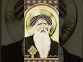 الشهيد القديس ابا قسطور القس البردنوهي