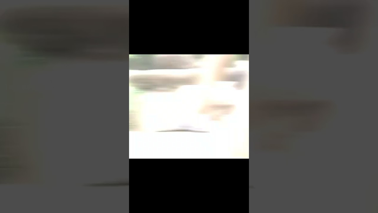 sepatunya modelnya kusuka