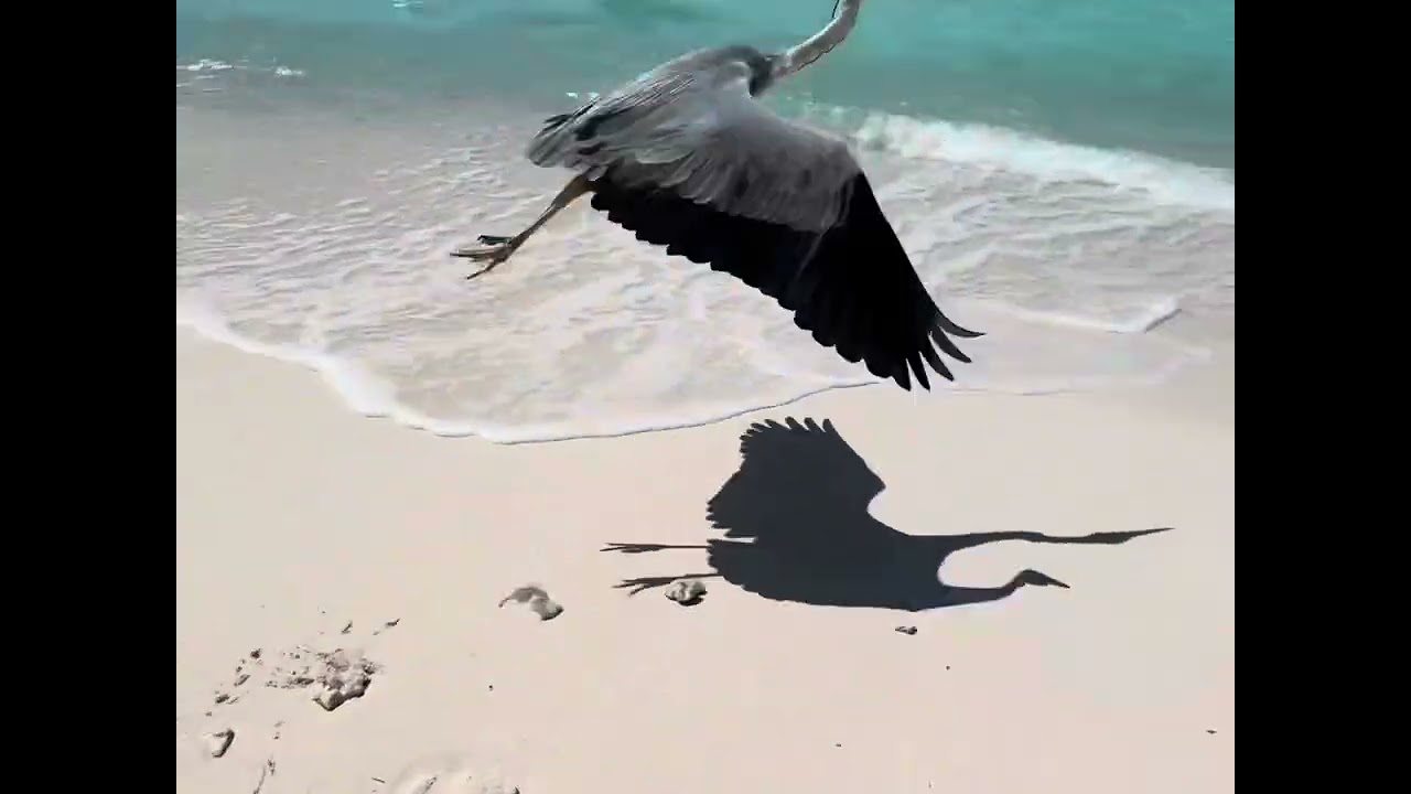 Maledives Filitheyo 2025