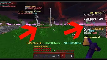 Hypixel Skyblock I Found a Bug #Minecraft #hypixelskyblock #bugreport #shorts