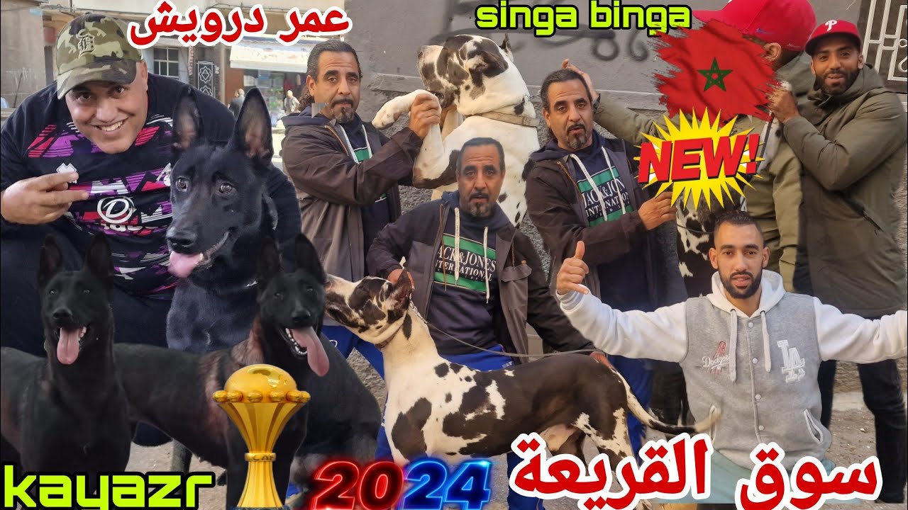 مباشرة من قلب سوق القريعة بالدار البيضاء 🇲🇦🇲🇦يوم الأحد 21/1/2024 مع الوحوش العمالقة😱 ومعلومات هام 🎖💣