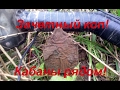 Складень, серебряный кулон и огромные кабаны.