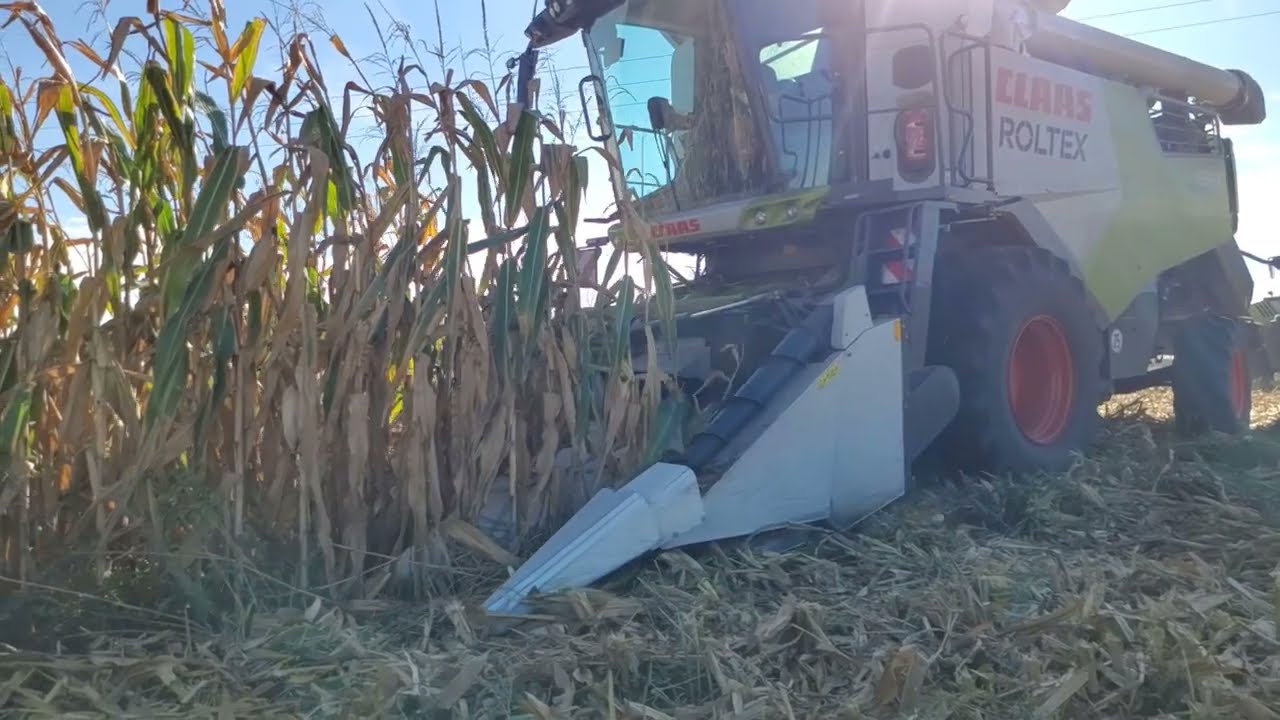 Nowy Kombajn Claas Trion 650 kukurydza 2024