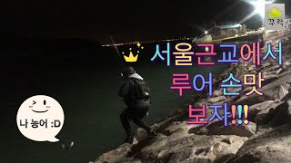 [꾸럭] 인천루어낚시 서울근교에 이런포인트가!!?? ( 농어 우럭 서울근교 루어낚시 🎣 ) 이제 서울사람들도 짬낚으로 손맛본다!!!