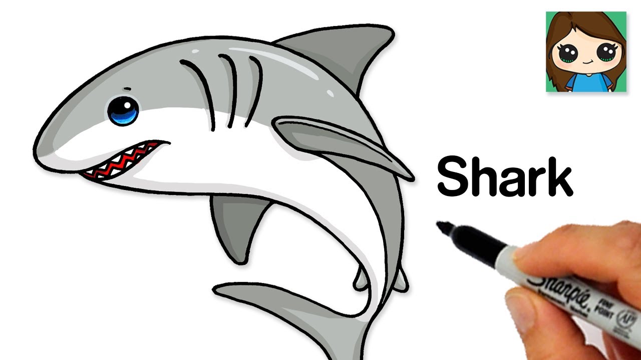 Cartoon drawing tutorial draw cute shark Step by step instructions