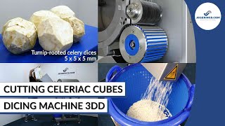 Machine Cutting Celeriac Cubes | Vegetable Dicing Machine 3DD