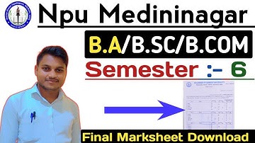 Npu Final Result Kaise Dekhe | Ug Sem 6 Marksheet Download Kaise Kare 2024 | B.A/B.SC/B.COM | PsTech