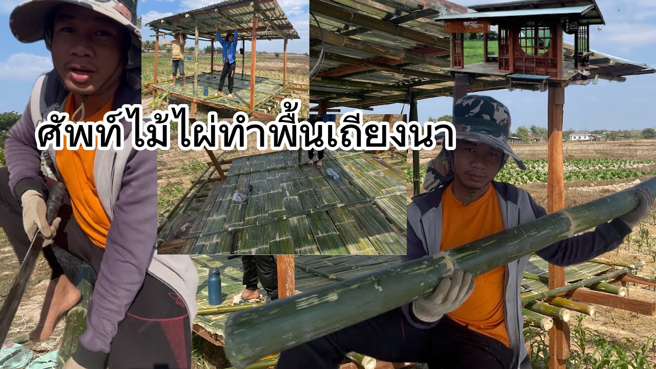 สัตว์ไม้ไผ่ปูพื้นเถียง นาEp5จบ￼