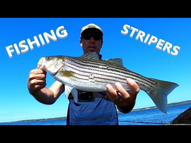 Striped Bass Fishing Indian Head Lighthouse Prince Edward Island 2023