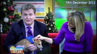 ITV Daybreak 2013 Mince Pie Puppy Gets a Home - A Year on