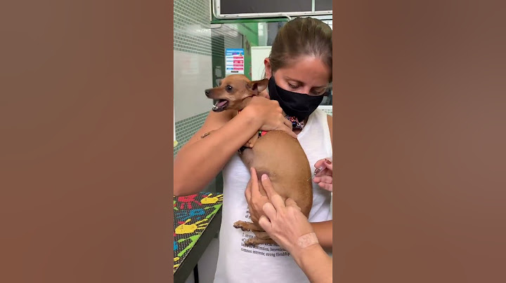 #shorts É MUITO IMPORTANTE MANTER A VACINAÇÃO DO SEU PET EM DIA! VACINE SEU PET TODO ANO!
