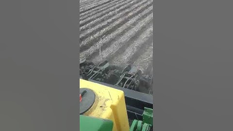 Spring strip-till