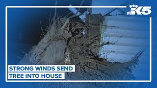 Tree crashes into Tacoma home overnight