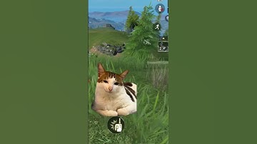 Meow trapped a pro duo with C4 (Just a trailer) #callofdutymobile #codmobile #codm