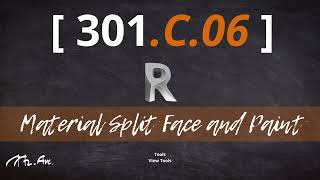 301 C 06  Material Split Face and Paint