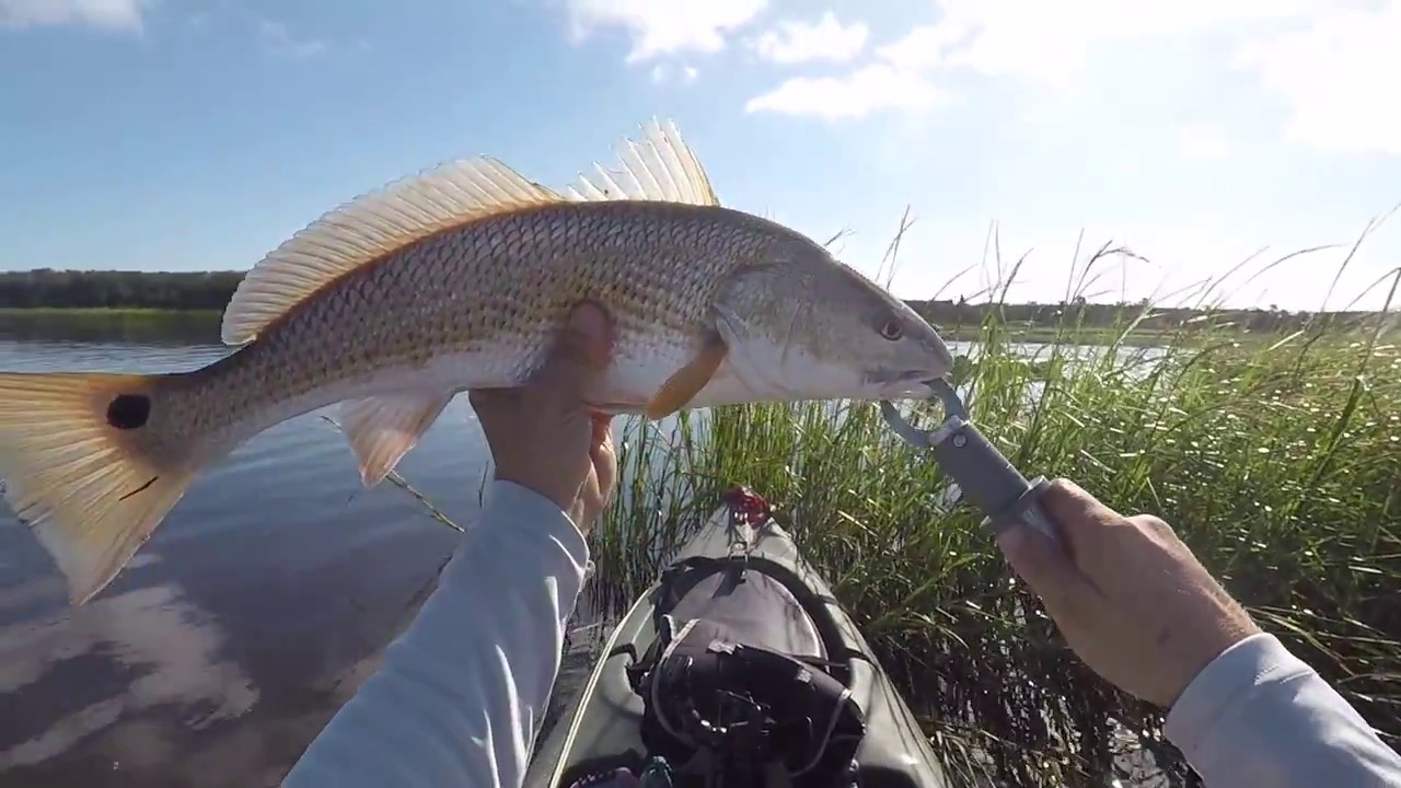 Catch More Fish - When You Actually Go Fishing! - YouTube