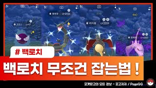 [포고GPS] 백로치 100% 무조건 잡는 방법 (100IV + 이로치) screenshot 5