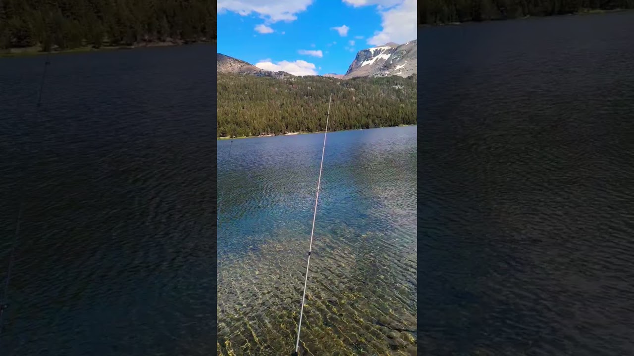 Best Fishing Scenery There Is 