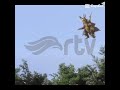 Ternyata Tombak Si Orb OP Juga Ya |#ultraman#fypシ゚viral#viralshort
