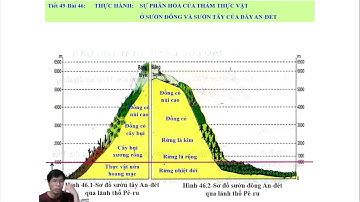 cùng học địa lí với  nguyễn thơi 20