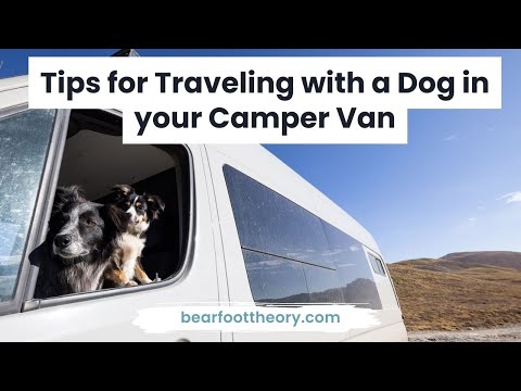 Van Life with a Dog: Tips for Living & Traveling with Pets – Bearfoot Theory