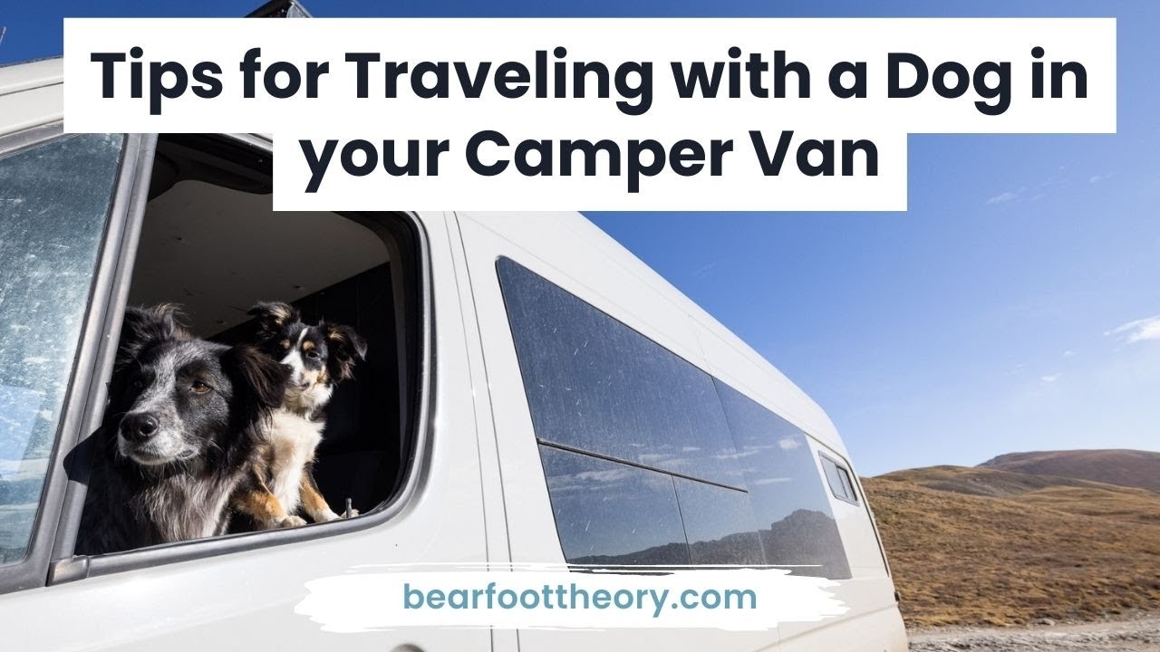 Van Life Tips for Living in a Van with a Dog YouTube