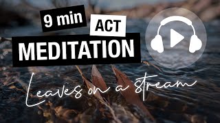 Leaves on a stream | (ACT) MEDITATION