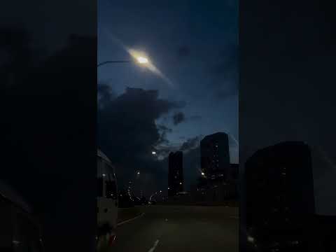 نوال الكويتية قولي يا خلي