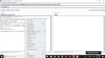 XSS Stealing Cookies In DVWA (POC)