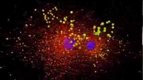 Variational Monte Carlo visualization