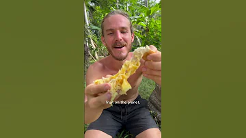 Top 5 Weirdest Fruits 