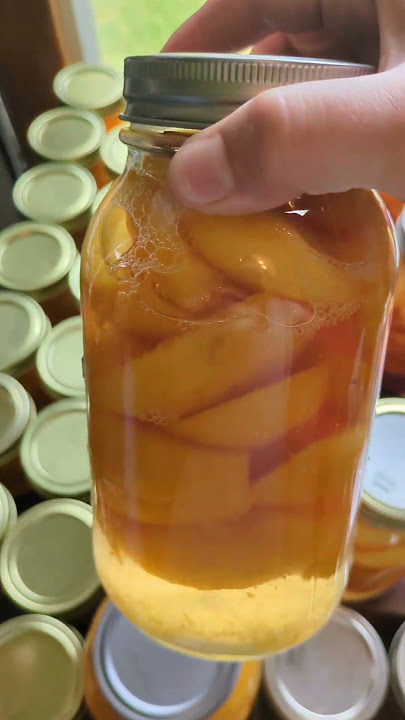 60 lbs of peaches preserved! #canning #canningtiktok #canningandpreserving #peach #homestead