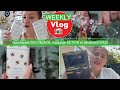 Weekly vlog nouvelle collaction dolyjack mga haul action et colis qui font plaisir