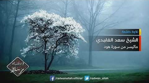 تلاوة خاشعة ومؤثرة .. الشيخ سعد الغامدي ما تيسر من سورة هود